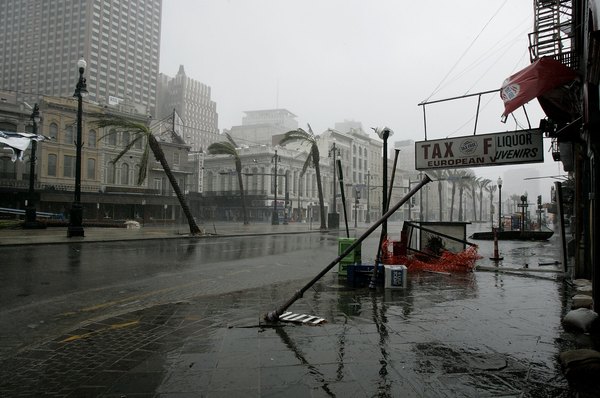 Listing palm trees and upended light poles are left in the wake of Hurricane Katrina August 29, 2005 on Canal Street in New Orleans, Louisiana.