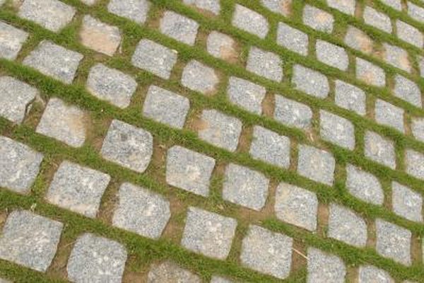 How To Install Square Concrete Pavers With A Ground Cover How To Install Square Concrete Pavers With A Ground Cover