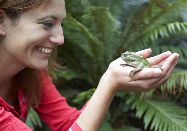 How to Compare a Frog and a Human Respiratory System | Sciencing