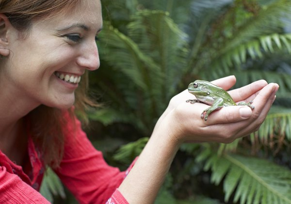 Human lungs are more efficient than frog lungs.