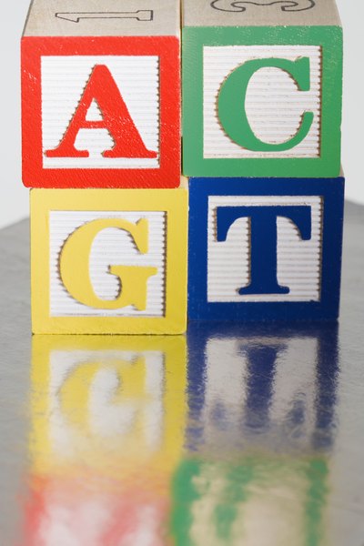 A, C, T and G are used by scientists to write out DNA sequences