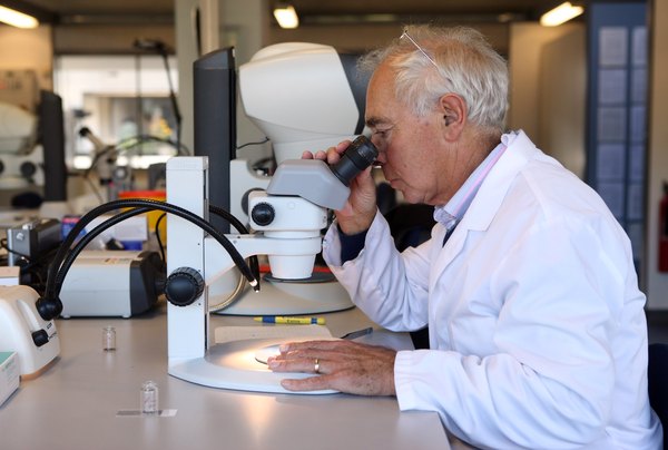 A biologist examining a sample through a microscope in a lab.