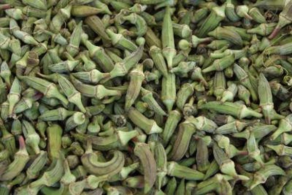 Do Okra Plants Need To Be Planted Next Each Other Home Guides Do Okra Plants Need To Be Planted Next Each Other Home Guides Sf Gate