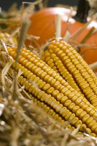 O suco de milho verde é uma forma diferente de aproveitar o alimento