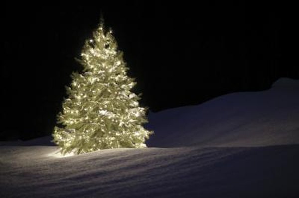 How To String Lights Outside On Big Trees Home Guides Sf Gate