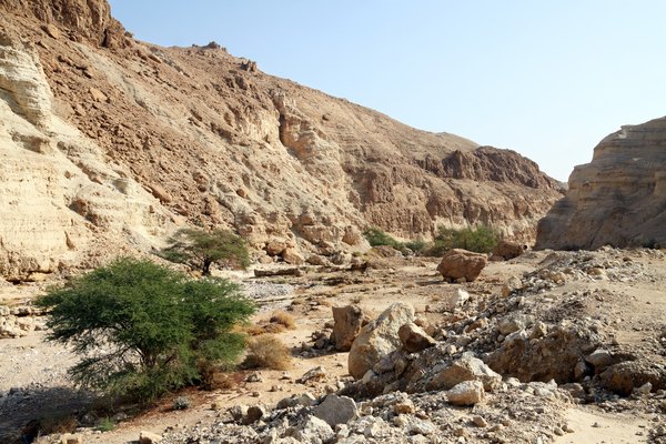 Weathered limestone in a dry riverbed in the desert.