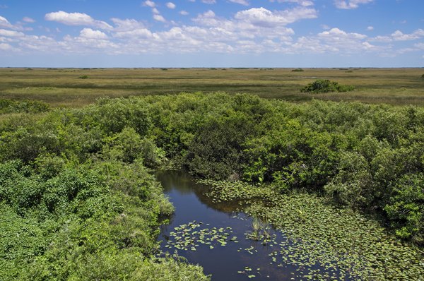 blue planet biomes grassland