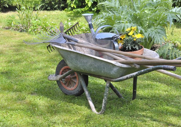 A wheelbarrow filled with gardening tools