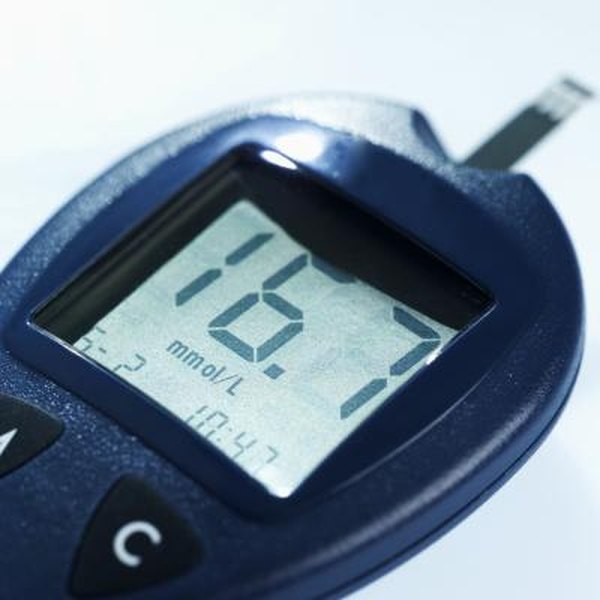 Glucose Meter for Cats - Pets