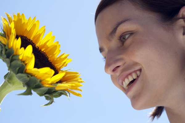 Plants move in response to light, turning and bending to capture maximum sunlight.