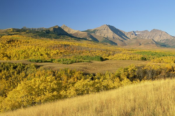 Photo Credit: Comstock Images/Stockbyte/Getty Images Prairie.