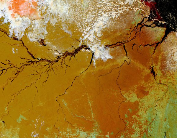 The Amazon Rainforest in Brazil captured by satellite imagery