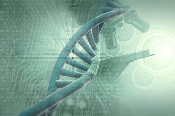 Alternate acceptor sites contribute to large variations in proteins.