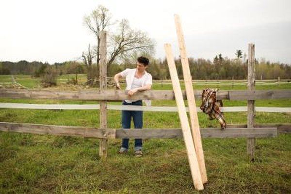 Document your damage with photos before making fence repairs.