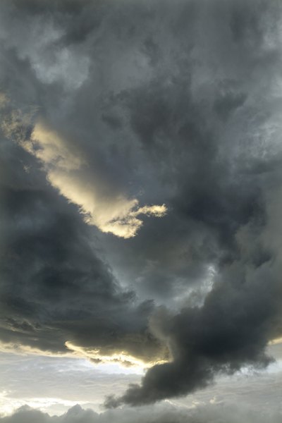 Tornadoes often impact America's central and eastern forests.