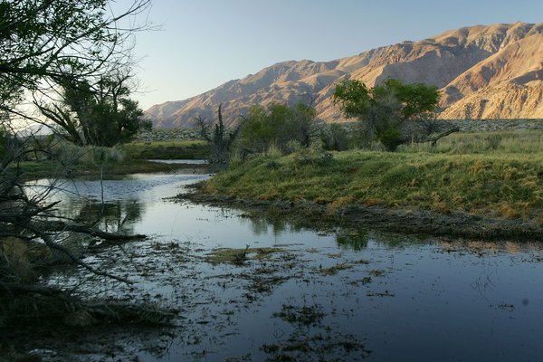 Owens River near Lone Pine, CA.