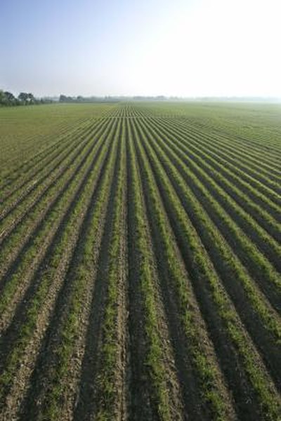 Agricultural products are always in demand in a growing world population.