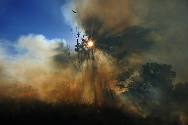 O desmatamento sem precedentes da Amazônia ameaça a sua existência