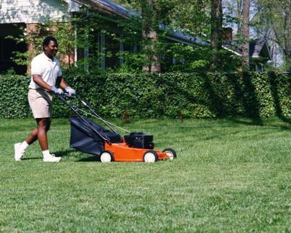 When Can You Mow The Lawn After Fertilizing Home Guides Sf Gate