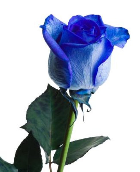 important information about blue