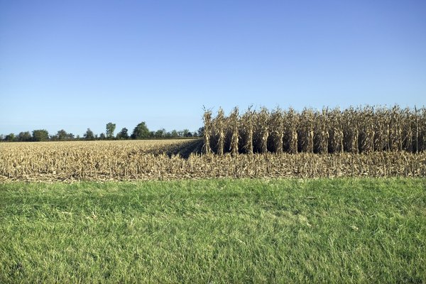 Photo Credit: Thinkstock/Comstock/Getty Images Missouri