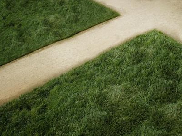Fescue Sod Installation Home Guides Sf Gate Fescue Sod Installation Home Guides Sf Gate