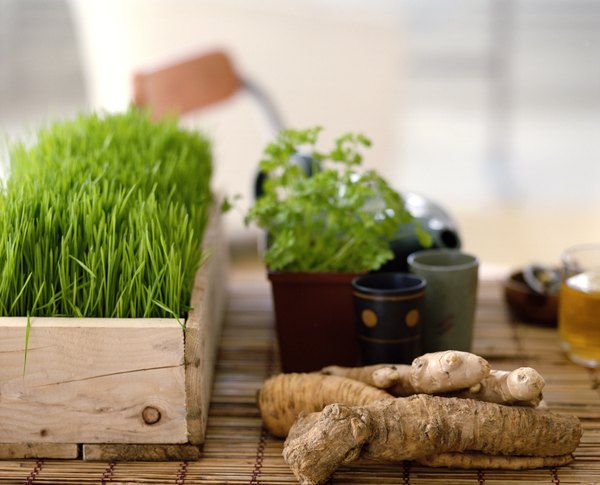 É possível comprar ervas medicinais em herbários públicos ou de universidades, feiras livres, lojas especializadas, sacolões e supermercados