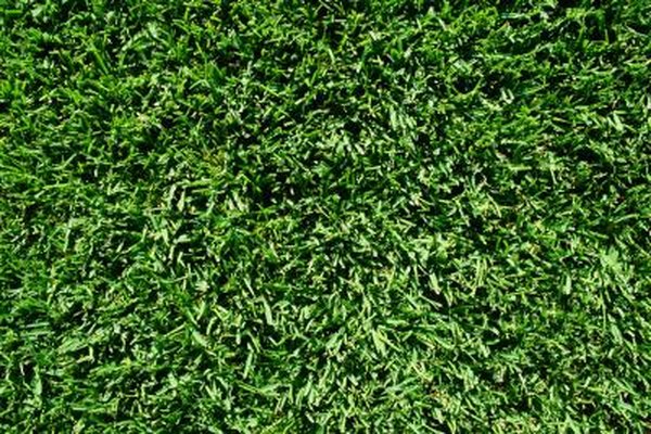 Can You Lay Landscape Fabric Over Sod Home Guides Sf Gate Can You Lay Landscape Fabric Over Sod