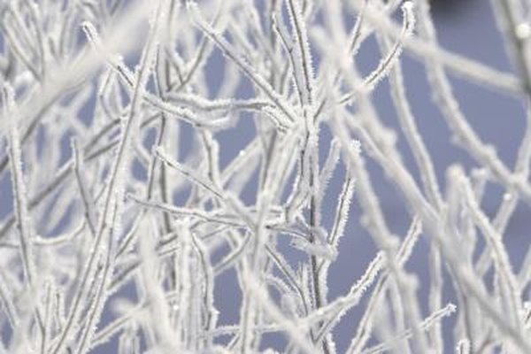how to protect a tankless water heater in freezing weather | home