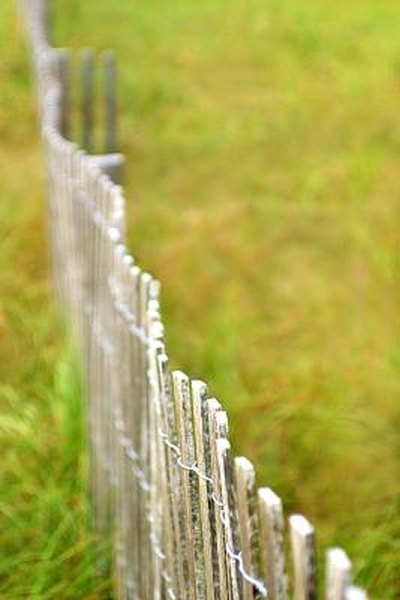 how-to-claim-fence-damage-on-homeowners-insurance-budgeting-money