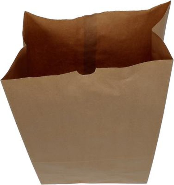 Are Paper Bags Safe For Cats