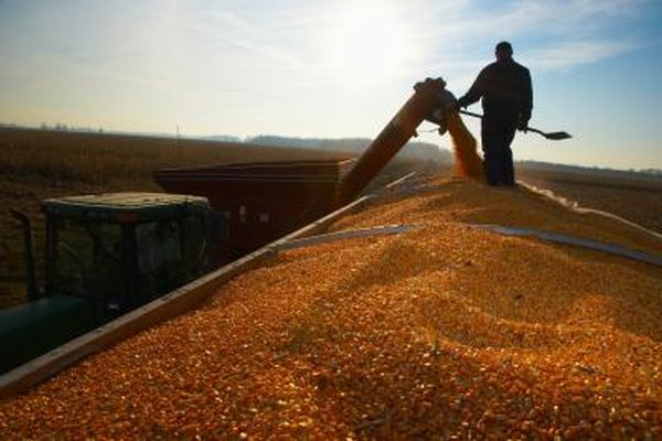Farmers can buy futures to lock in prices on the commodities they produce.