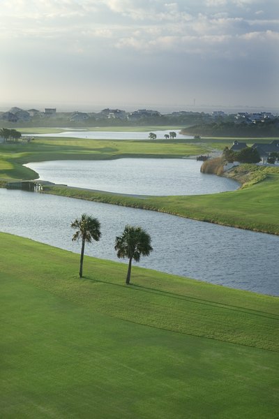Palm-tree dotted golf courses in the South usually include Bermuda grass on fairways.