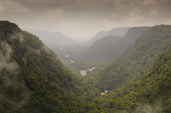 The Amazon valley.