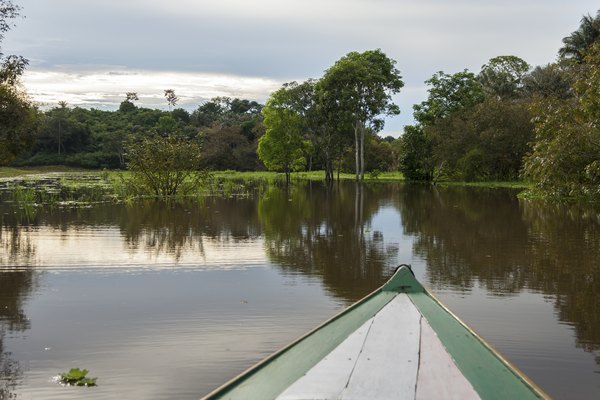 Photo Credit: JakaZvan/iStock/Getty Images The amazon river as seen from a boat.