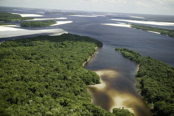 Aerial view of an estuary