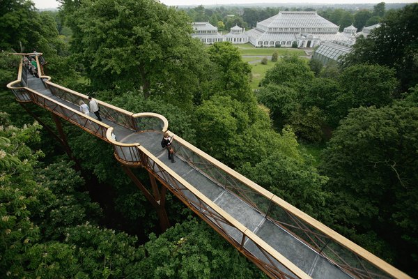 Kew Walkway: não é recomendada para aqueles que tem vertigem