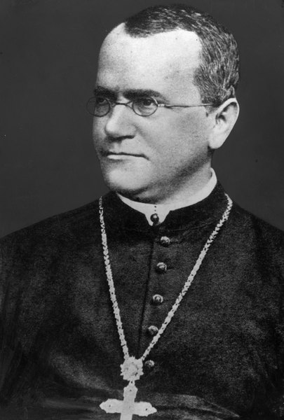 Gregor Mendel knew dominance when he saw it.