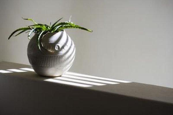 Can A Plant Grow In Pot Where There S No Hole The Bottom Can A Plant Grow In Pot Where There S No Hole The Bottom Home Guides Sf Gate