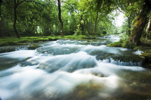 Photo Credit: garethkirklandphotogrphy/iStock/Getty Images Freshwater ecosystems can include rivers and lakes.