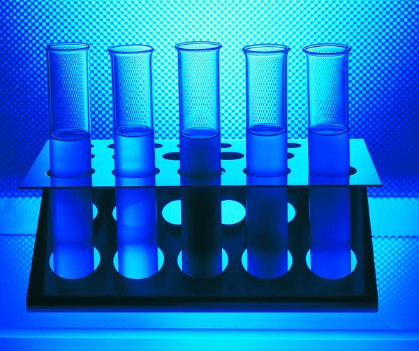 Examples of a Double Blinded Study Experiment | Education - Seattle PI