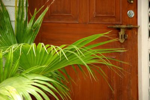 How To Re Stain Exterior Doors Home Guides Sf Gate
