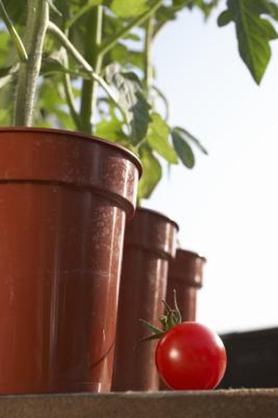 Which Plastics Are Safe To Use As Containers Grow Food Home Which Plastics Are Safe To Use As Containers Grow Food Home Guides Sf Gate