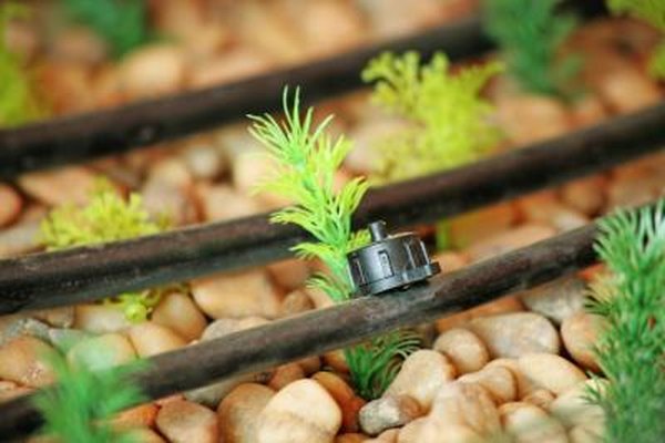 Can You Use A Drip Irrigation System For Lawn Area Home Can You Use A Drip Irrigation System For Lawn Area Home