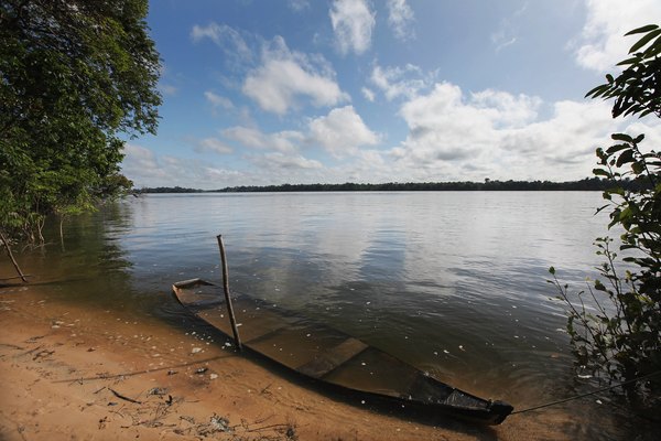 O Rio Amazonas corta nove países da América do Sul