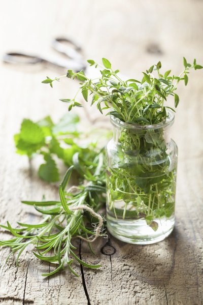 Começar um herbário é um passo importante para começar a produzir seus próprios alimentos