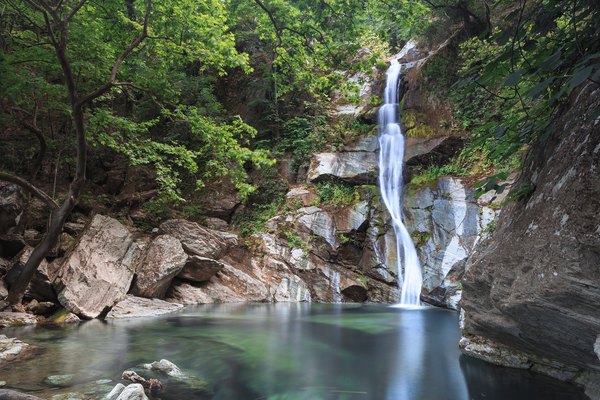 tropical rainforest waterfalls with animals