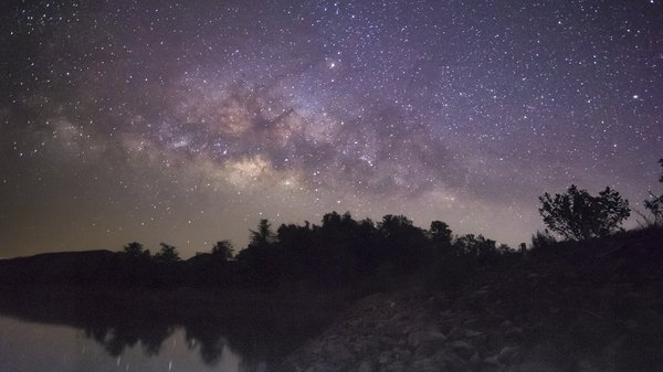 galaxy with forest silhouetted in darkness