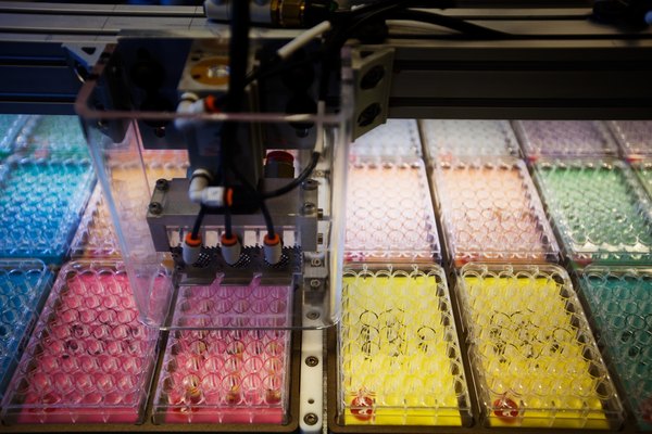 A close-up of a seed chipping machine in a bio-tech facility.