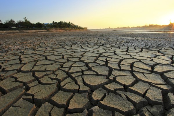 Dry, barren landscape with cracked earth